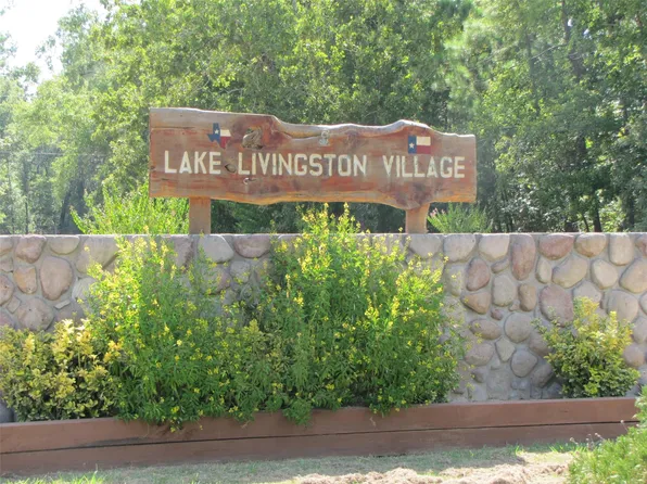 Vine Arbor Dr Lot 66, Livingston, TX 77351