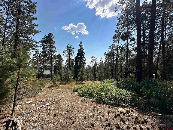 2nd image of 150 and 186 Pine Ridge