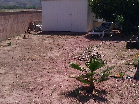 Huge back yard with no one behind you