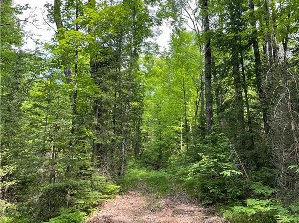 On Griffith Road, Butternut, WI 54514