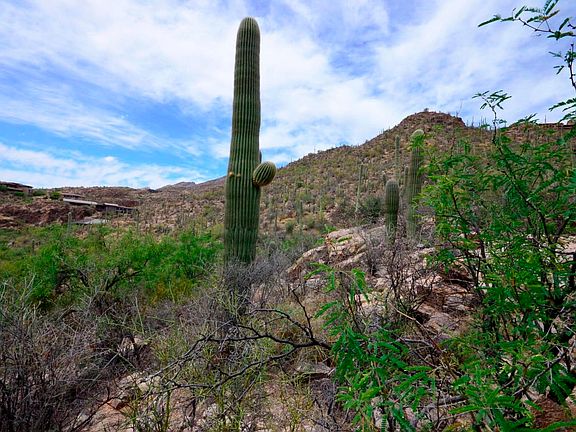 5th image of 7161 E Stone Canyon Dr