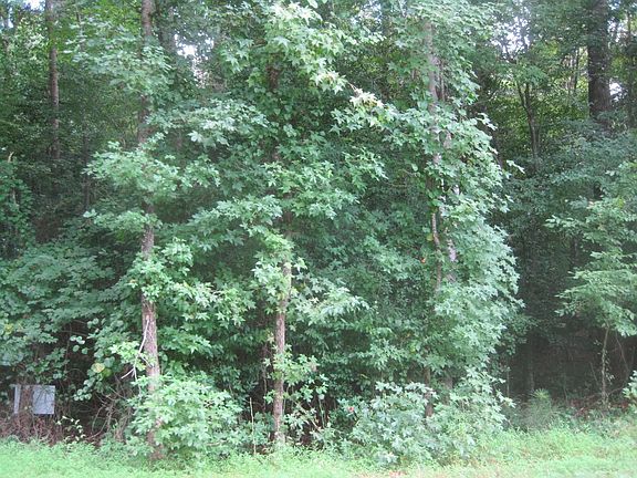 2nd image of 102 Mayan Dr #2235