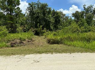 1111 Greenfield St, Lake Placid, FL 33852