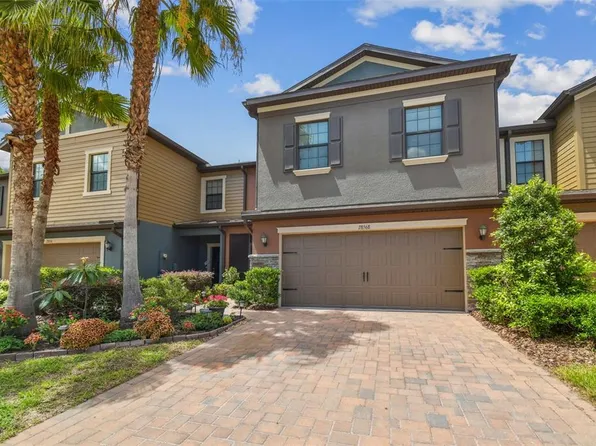 28568 Tranquil Lake Cir, Wesley Chapel, FL 33543