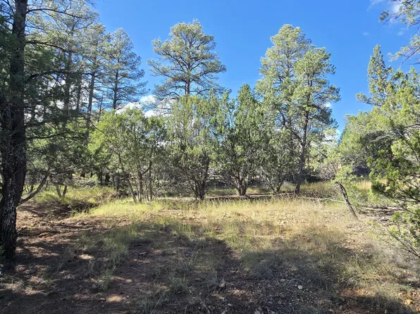 1545 Rocky Top Dr, Heber, AZ 85928