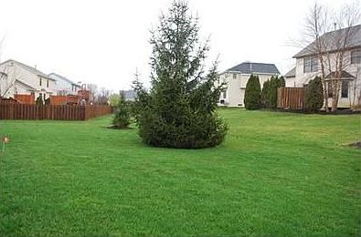 3rd image of 116 Alyssa Dr