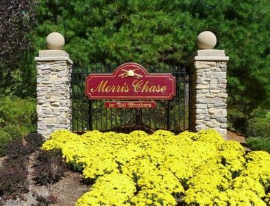 17 Tutbury Ct, Budd Lake, NJ, 07828
