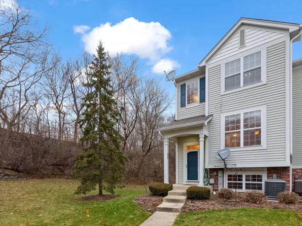 312 Terra Springs Cir, Volo, IL 60020