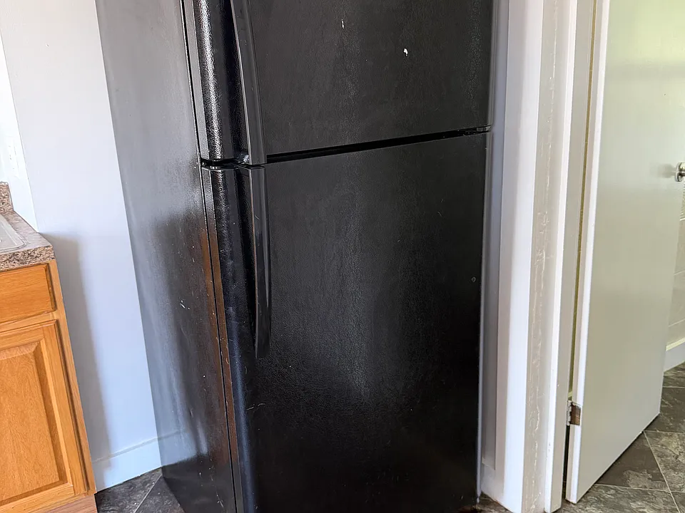 46 Clifton St #REAR