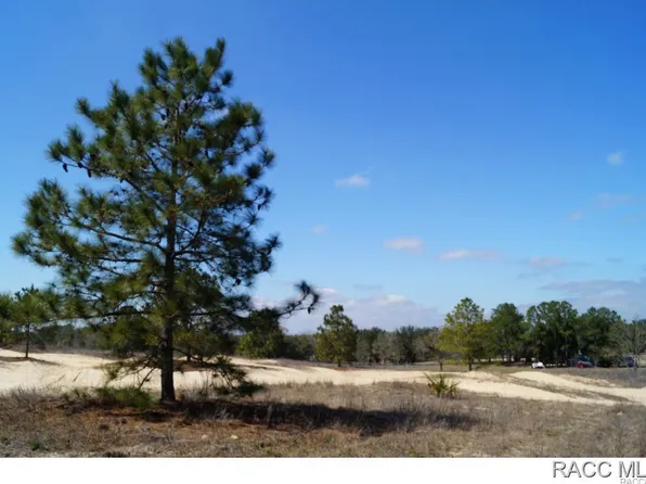 5927 W Dunnellon Rd, Dunnellon, FL 34433