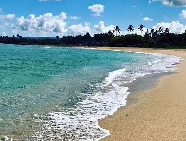 66-357 Haleiwa Rd — Photo 1
