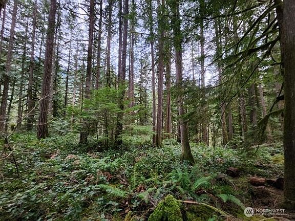 4th image of 0 Cascade River Road