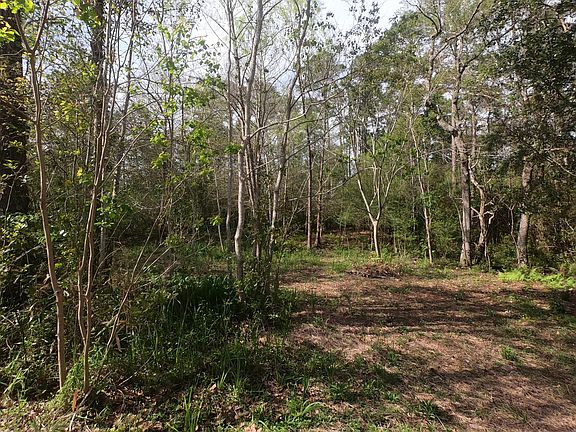 4th image of 2023 Sandpiper Ln