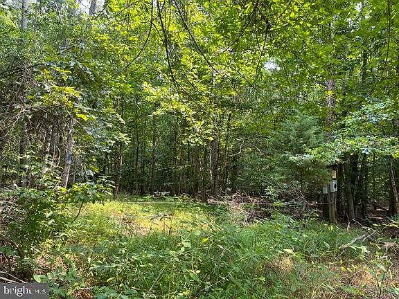 4th image of 3590 Twinbrook Dr