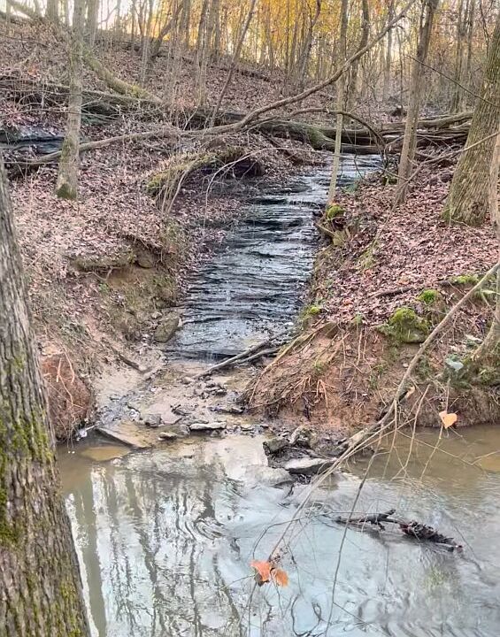 2nd image of 0 County Road 134