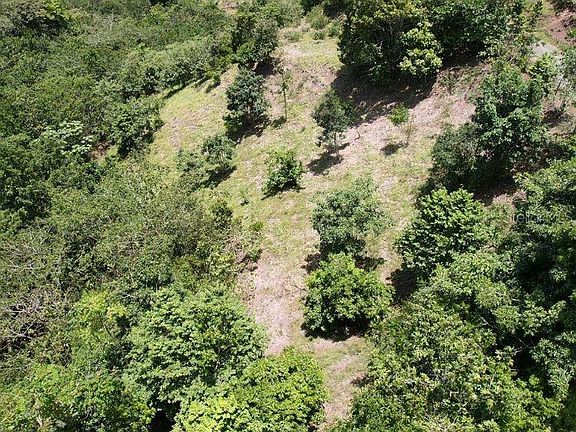 4th image of Hacienda De Cidra Rabanal Parcela #32