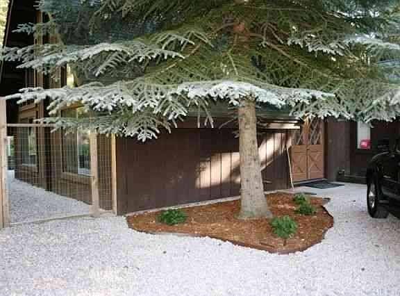 large 4 bedroom, 2 bath home