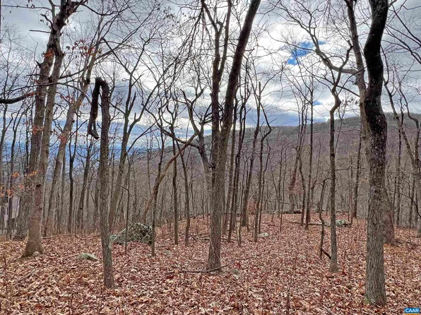 23 Wolftrap Ln, Roseland, VA 22967