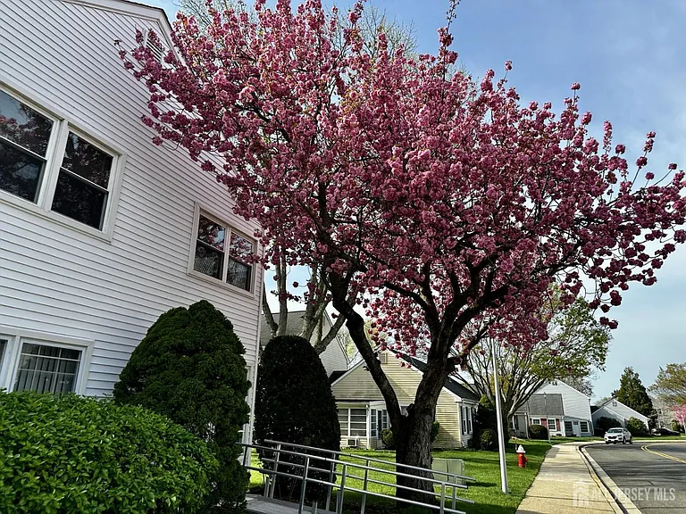 242 Marblehead Ln #B — Photo 20