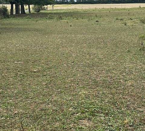 5th image of 1738 County Road 1400e