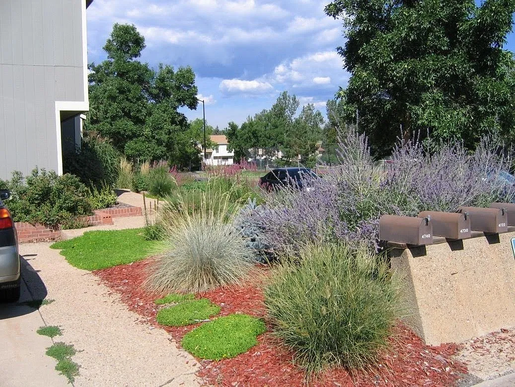 4 BD/ 2 BA Home in South Boulder Located Close to Open Space — Photo 3