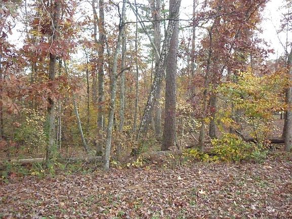2nd image of LOT 54 Warman Dr #54