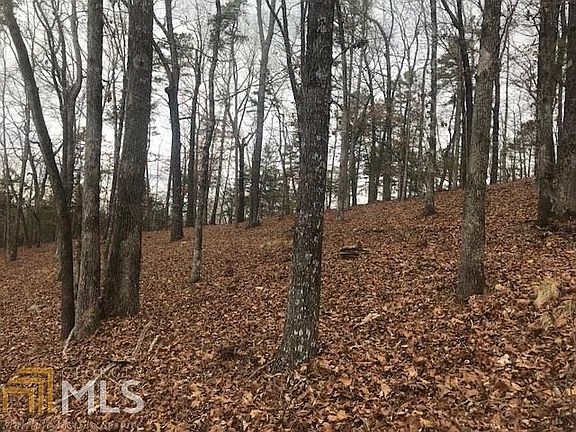 3rd image of 4470 Shoreline Dr