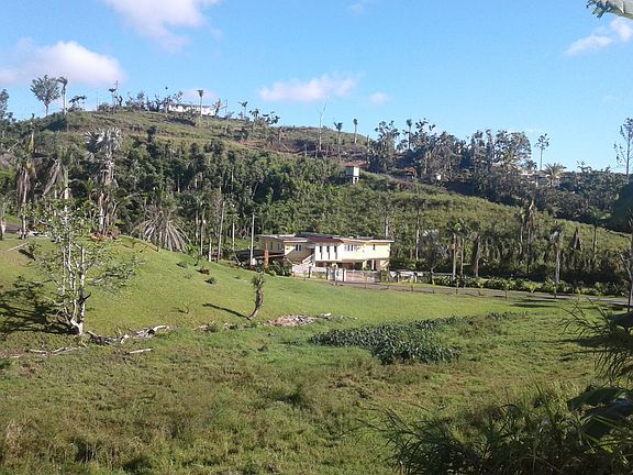 2nd image of KM 13.9 Carr. 182 Bo. Guayabota