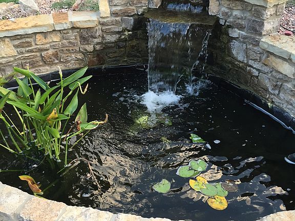Pond in backyard