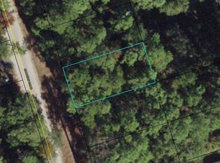 00-00-035-008-07 Choctaw Rd LOT 4, Crawfordville, FL 32327