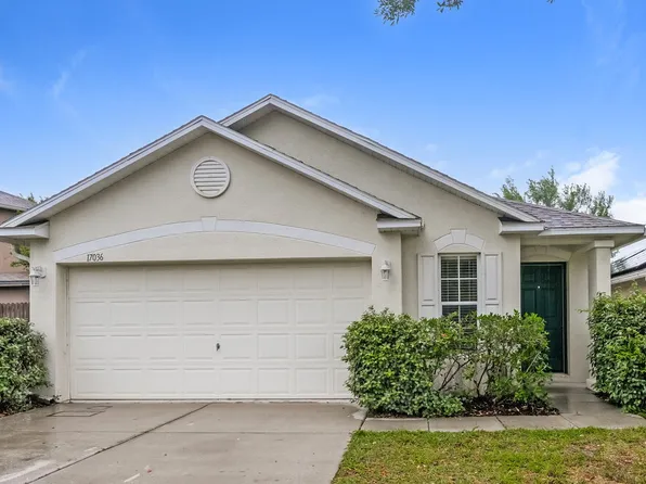 17036 Lixberry Way, Land O Lakes, FL 34638