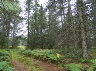 5888 Frutchey Ranch Rd, Curran, MI 48728