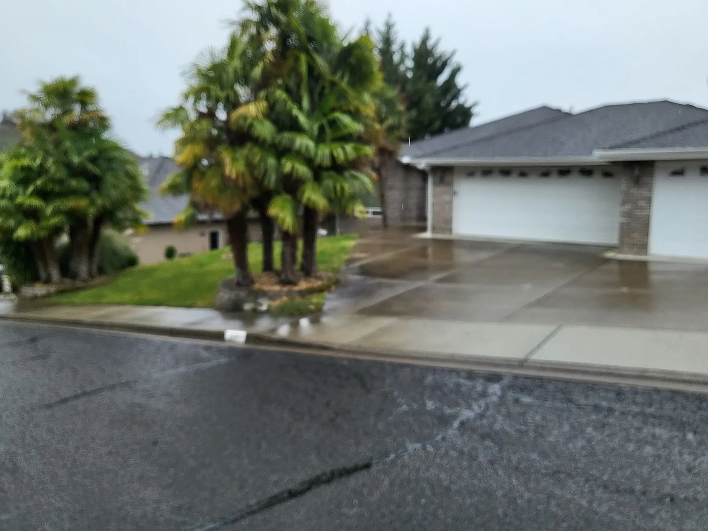 5 bed 3 bath — Photo 2
