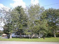 1st image of 1313 Hansard Dr