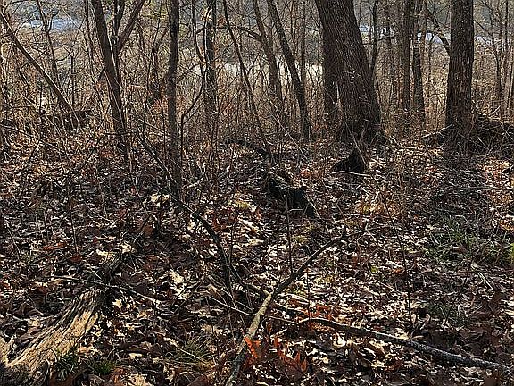 northeast corner, top ridge