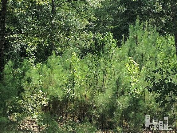 3rd image of 3691 Sour Grape Way NE