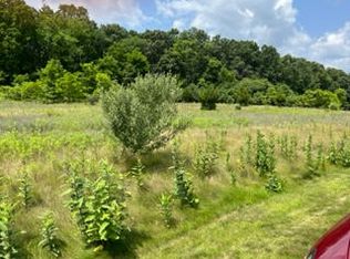 0 Stoneview Ln, Whitmore Lake, MI 48189