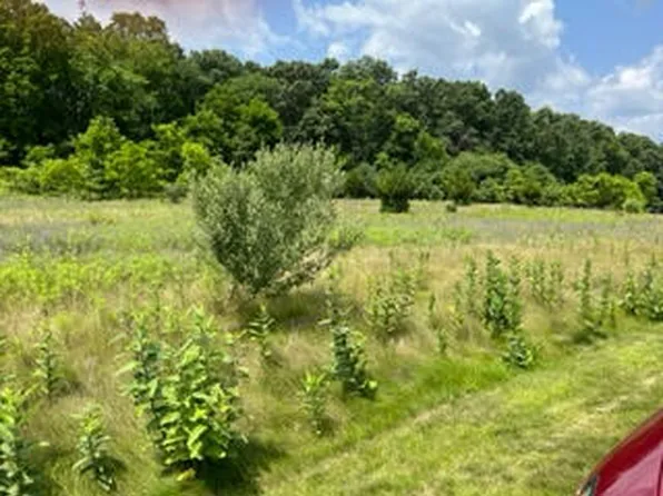 0 Stoneview Ln, Whitmore Lake, MI 48189