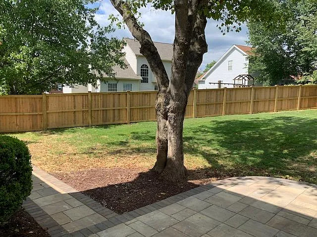 Tree shading patio