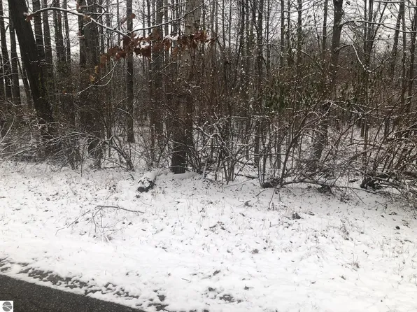 PARCEL C W Vernon Rd, Weidman, MI 48893