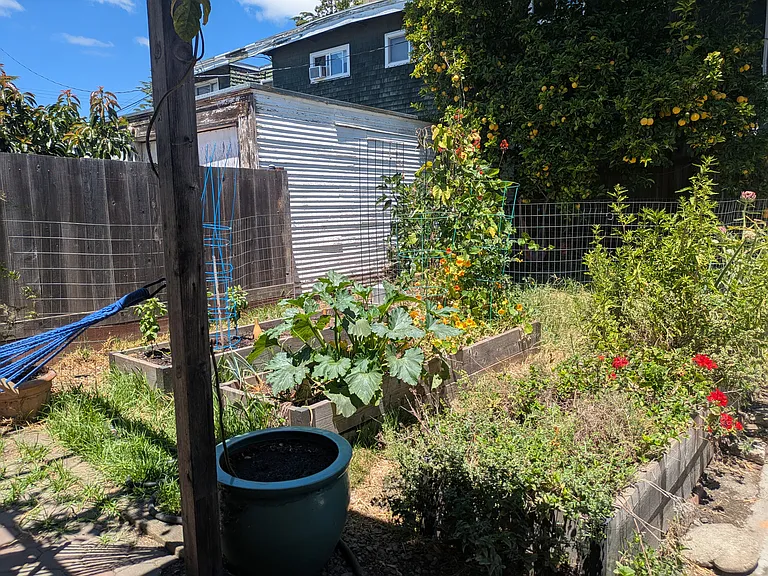 3532 Lyon Ave — Photo 15