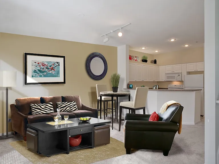 Classic Package I kitchen and living room with carpet