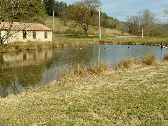 large pond, and back of barn