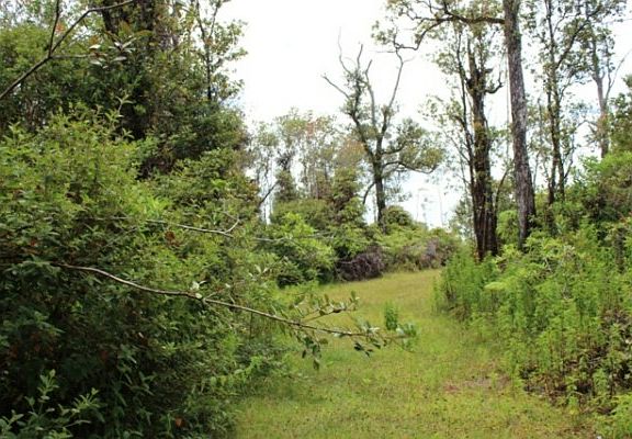 5th image of Laukapu Ave Lot 11