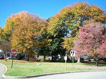 2nd image of 16 1/2 Centre Hill Ct