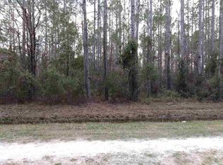 4325 Wanda St, Hastings, FL 32145