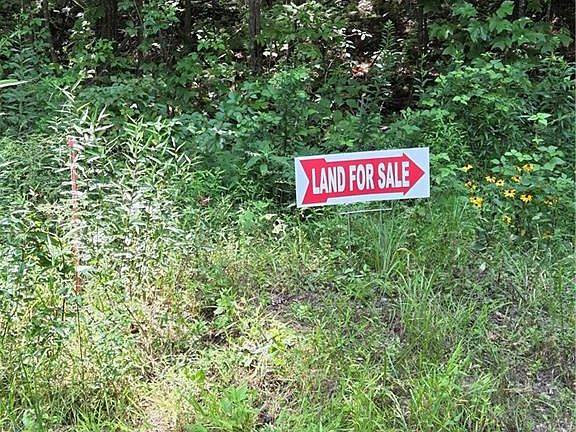 5th image of 0 Chopped Oak Rd #167