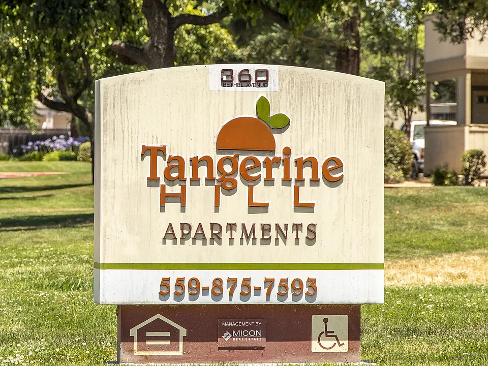 Tangerine Hill