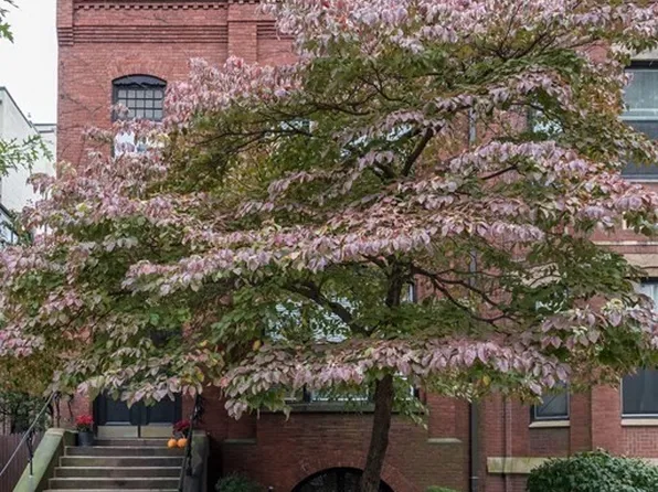 370 Marlborough St APT 7, Boston, MA 02115