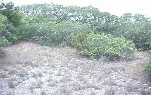 1st image of LOT 24 Leigh Cir